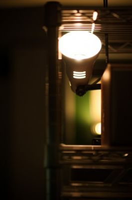 LEDの立役者
