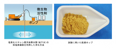 塩素化エチレン類汚染地下水