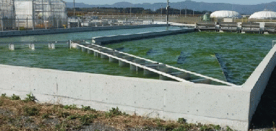 福島藻類プロジェクト