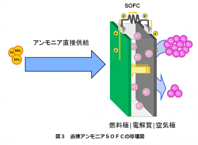 アンモニア燃料電池