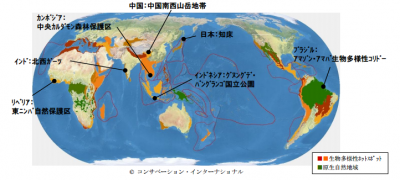 “空気をはぐくむ森”プロジェクト