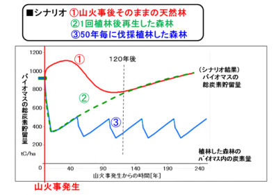 LCA技術