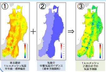 気候予測情報